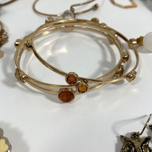 Earthy Boho Jewelry Lot Featuring 24 Pieces Necklaces Bracelets & Earrings - Picture 5 of 10